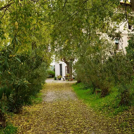 Torre D'en Malla Морторель